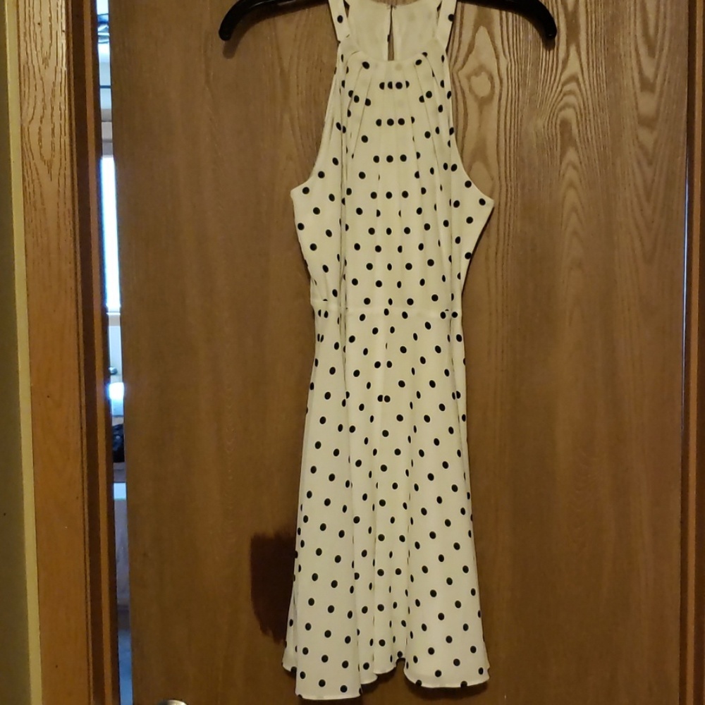 Express polka dot skater dress